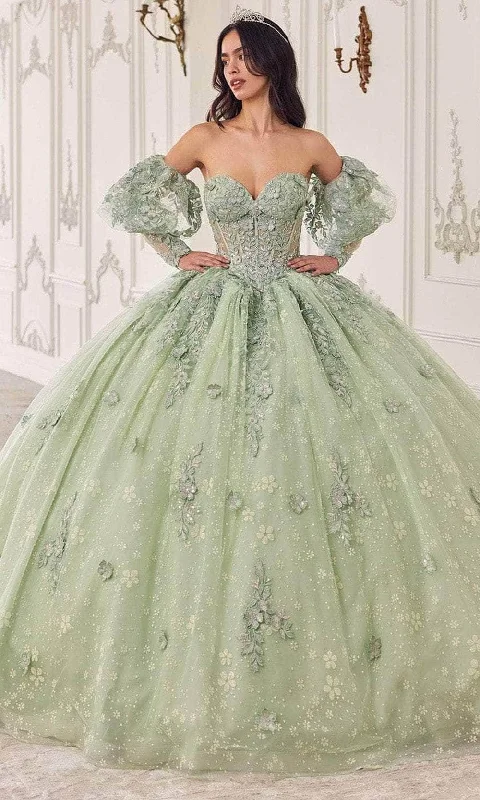 TightdefenseLadivine 15722 - Applique Sleeve Ballgown